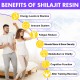 Shilajit for Men & Women, Shilajit Pure Himalayan Organic, Natural Gold Grade Shilajit with 85+ Trace Minerals, Fulvic & Humic Acid for Age-Defying, Bone Strength, Immunity, Hormone and More, 30 Grams Shilajit for Men & Women, Shilajit Pure Himalayan Organic, Natural Gold Grade Shilajit with 85+ Trace Minerals, Fulvic & Humic Acid for Age-Defying, Bone Strength, Immunity, Hormone and More, 30 Grams